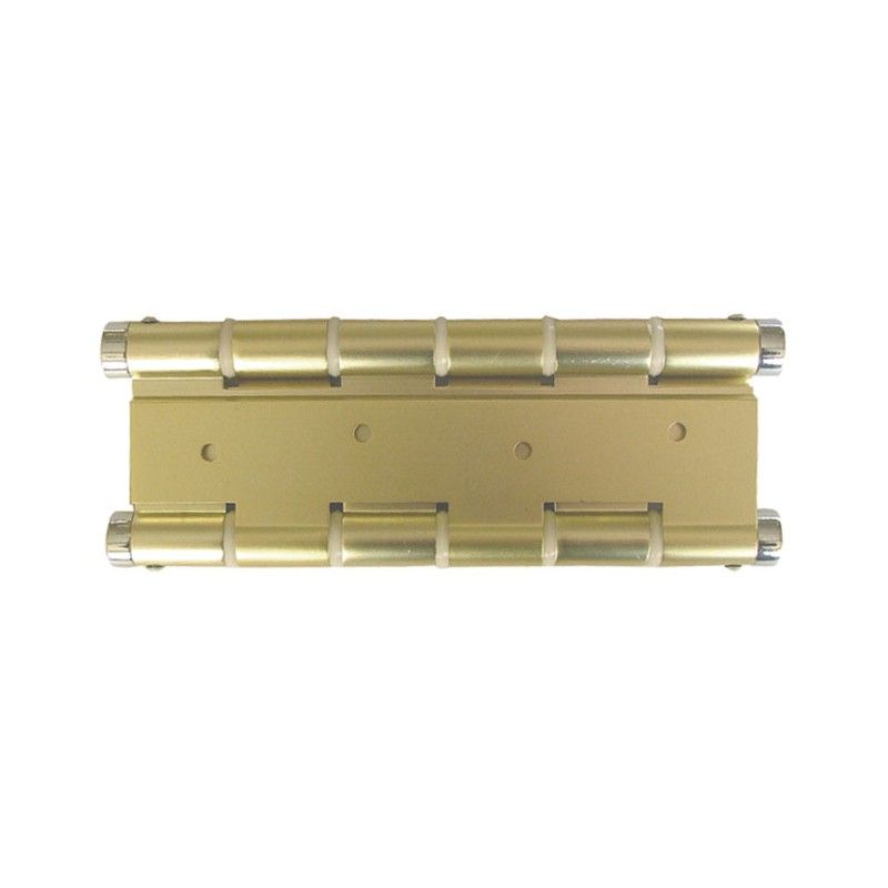 Bisagra Doble Accion. Dorado. 2930D4 Micel