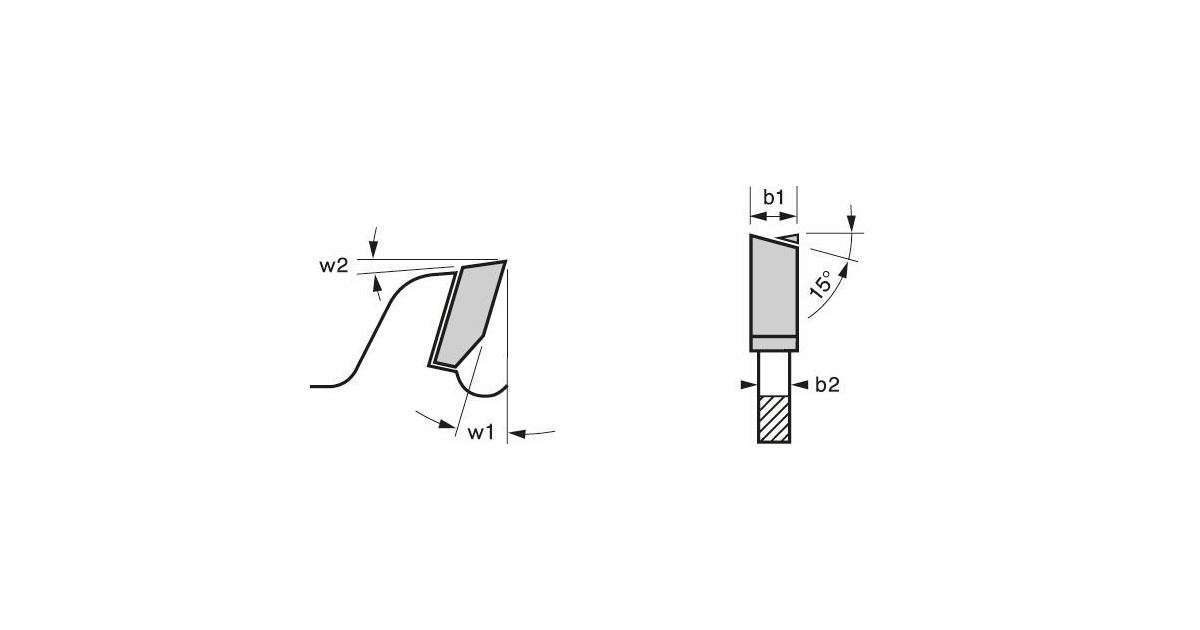 BOSCH Hoja de sierra Expert para madera 160 x 20 x 2,2 mm, 24 2608644016