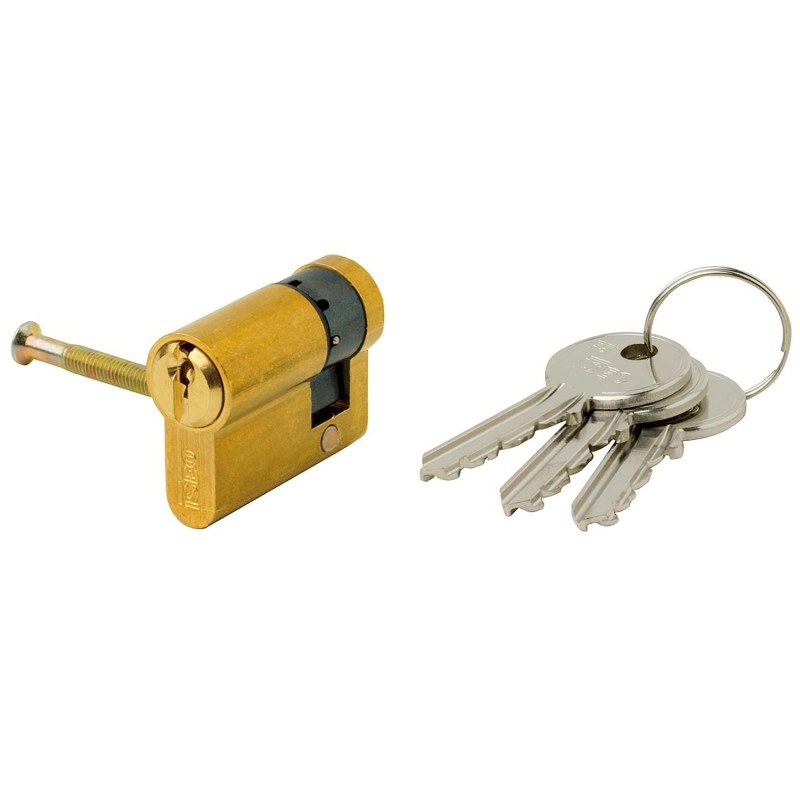 Cilindro ISEO F5 Europeo 30x10 Latonado Leva Larga