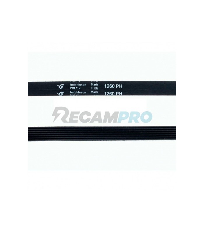 Correa lavadora AEG, 1260H7, 1260PH 8996452501803