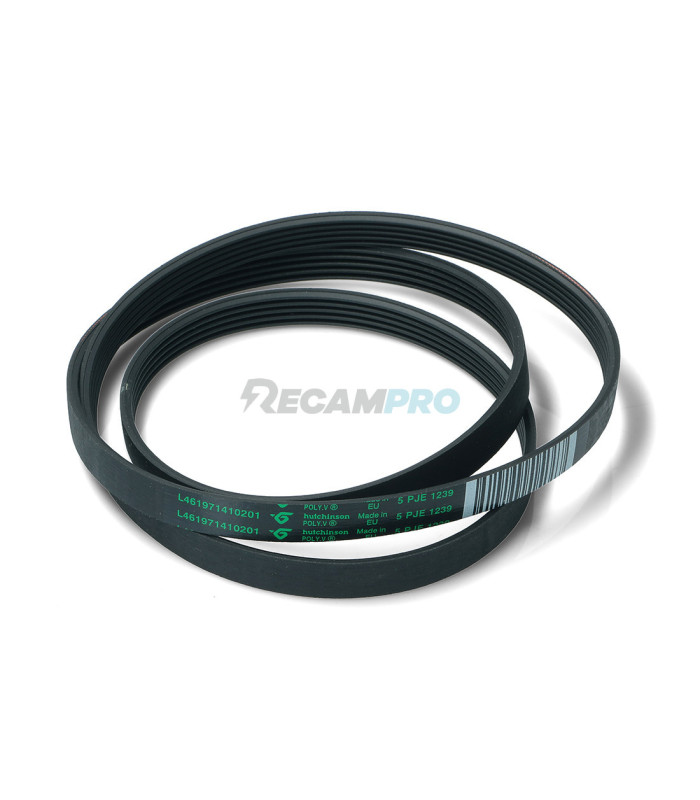 CORREA LAVADORA WHIRLPOOL 1239J5 481235818215