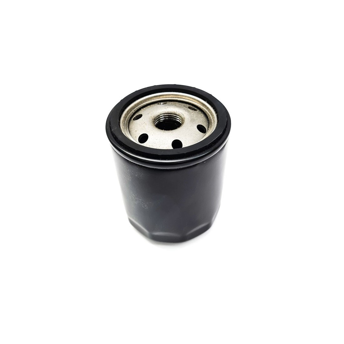 Filtro Envasadora al vacío Lavezzini DVP 1809001