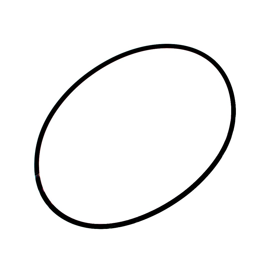 Junta Tórica Embutidora Minerva Modelo CE INS-22 VINS22 Ø266mm Ø7mm