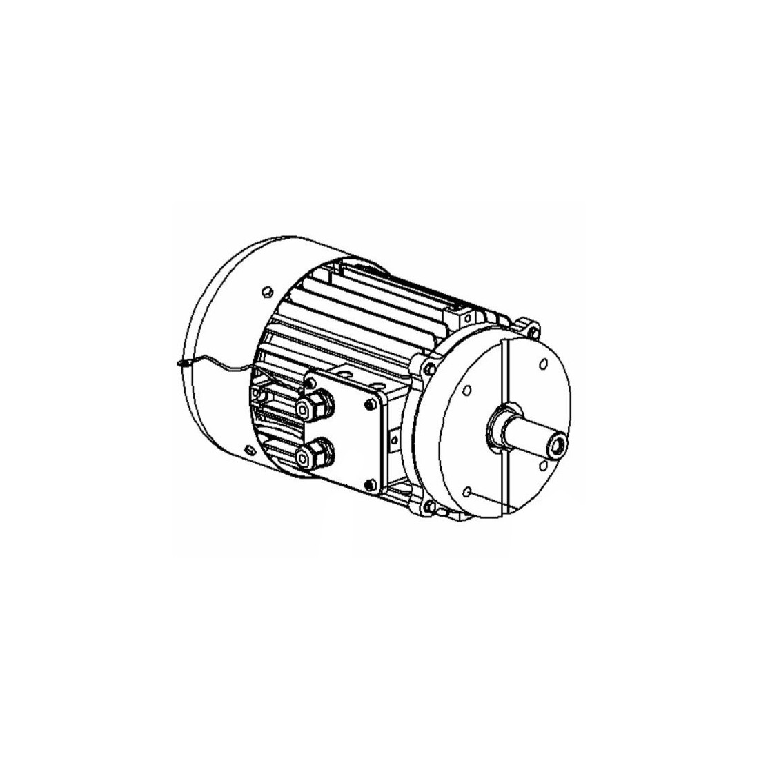 Motor mano izquierda Medoc BGR freno III 230-400 V. 50 HZ. 3 CV. 300 33415 + tornillo motor rosca derecha 35041-I