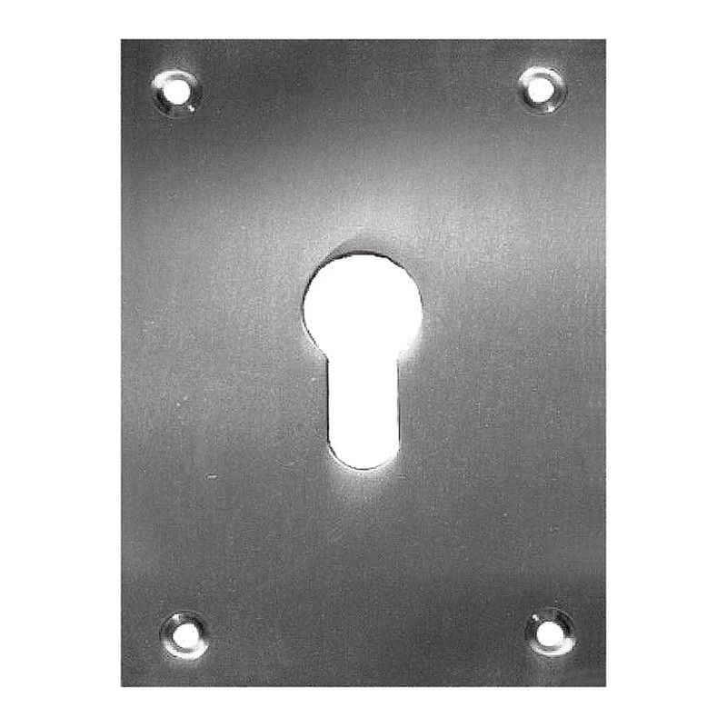 Placa Bocallave 2 Un.80X80Mm Niq.Satin. 978D12 Micel